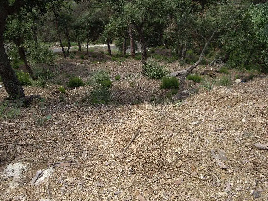 Terreny residencial en venda a Mas Pere - Río de Oro, imagen 20