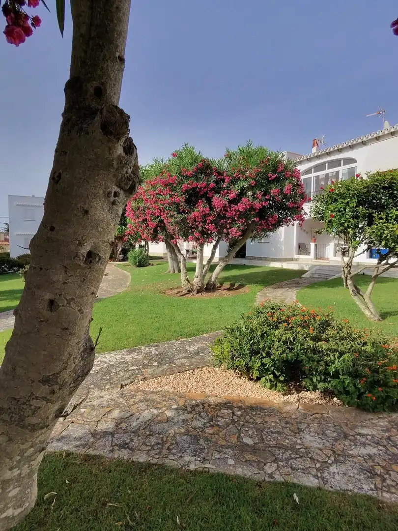 Garden of Flat for sale in Alaior  with Air Conditioner, Heating and Terrace