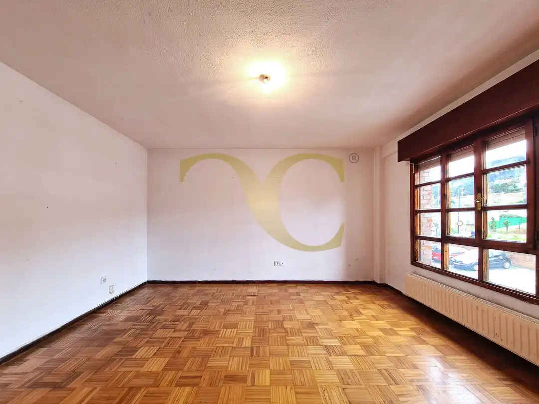 Sala d'estar de Pis en venda en Oviedo  amb Calefacció i Jardí privat