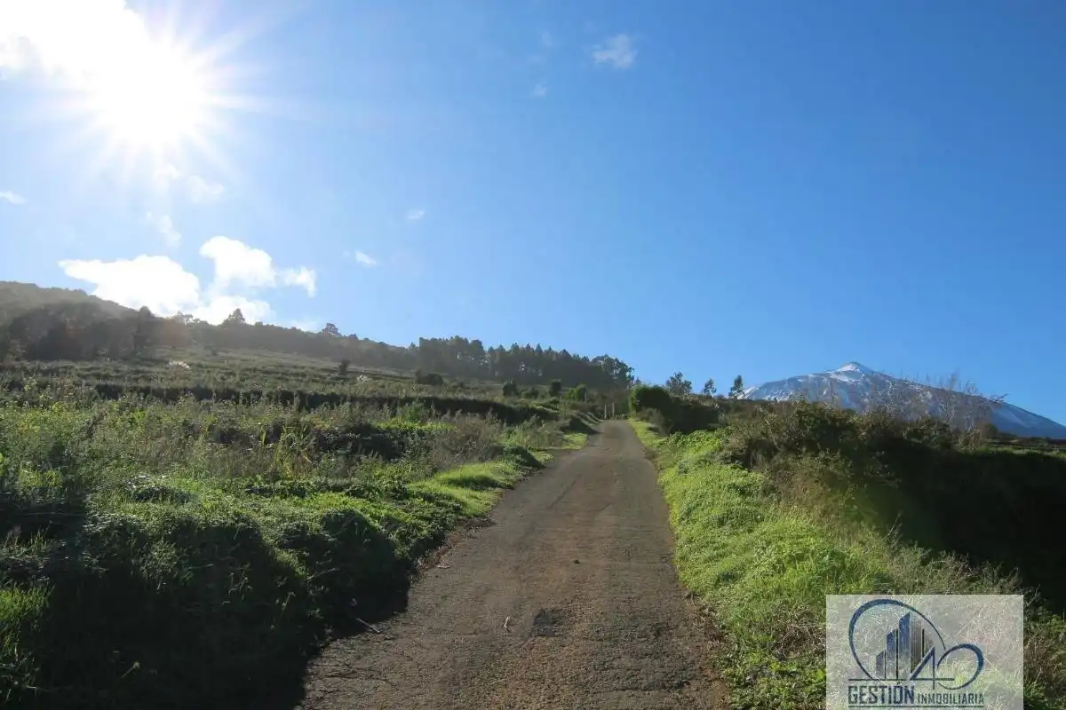 Vista exterior de Finca rústica en venta en Los Realejos