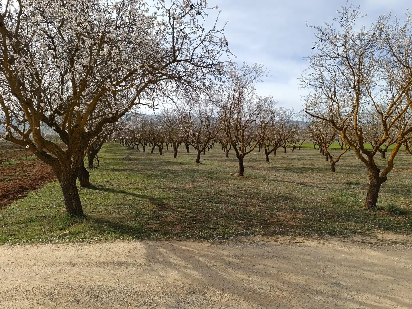 Rustikales Grundstück zum Verkauf in Avenida de Andalucía, imagen 4