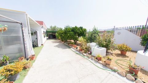 Foto 2 de Finca rústica en venta en Camino Camino Feli, Purias, Lorca