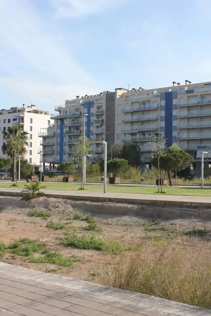 Terrain résidentiel à vendre à Moncófar Playa, imagen 3