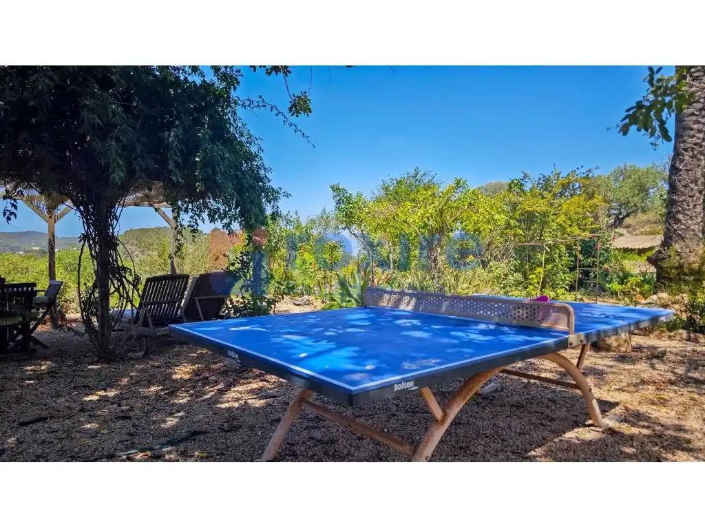 Garden of Country homes for rent in Sant Josep de sa Talaia  with Air Conditioner, Private garden and Terrace