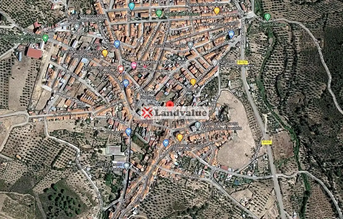 Terreni e lotti in vendita a Aliseda, imagen 2