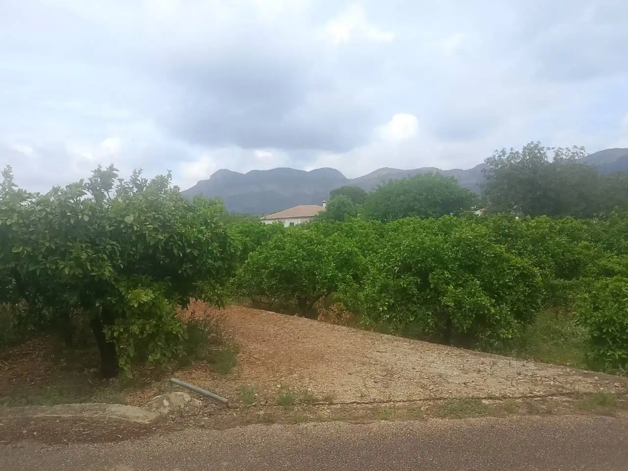 Terrain rustique à vendre à Calle Cami Rural Rotova, imagen 29