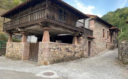 Exterior view of House or chalet for sale in Somiedo  with Heating and Furnished