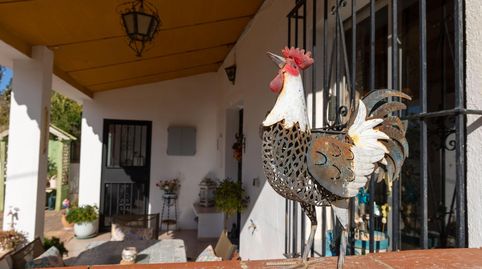 Foto 4 de Casa o chalet en venta en Villanueva del Trabuco, Málaga