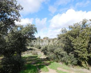 Residencial en venda en Ciudalcampo