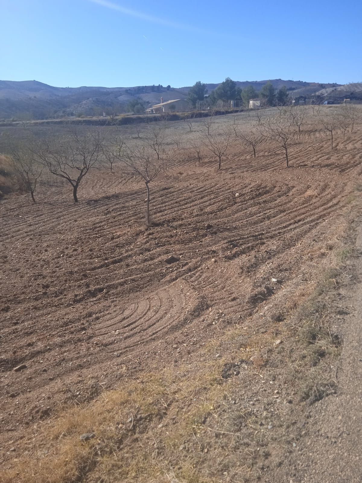 Land for sale in Lorca