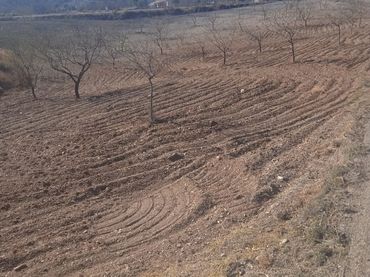 Terreno rustico in vendita a Pedanías Centro