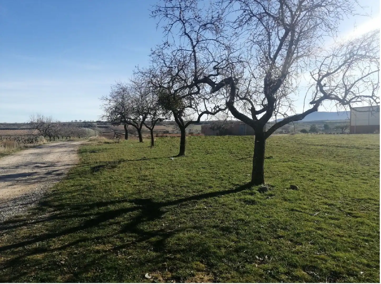 Terrain rustique à vendre à Clavijo