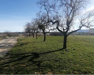 Land for sale in Clavijo