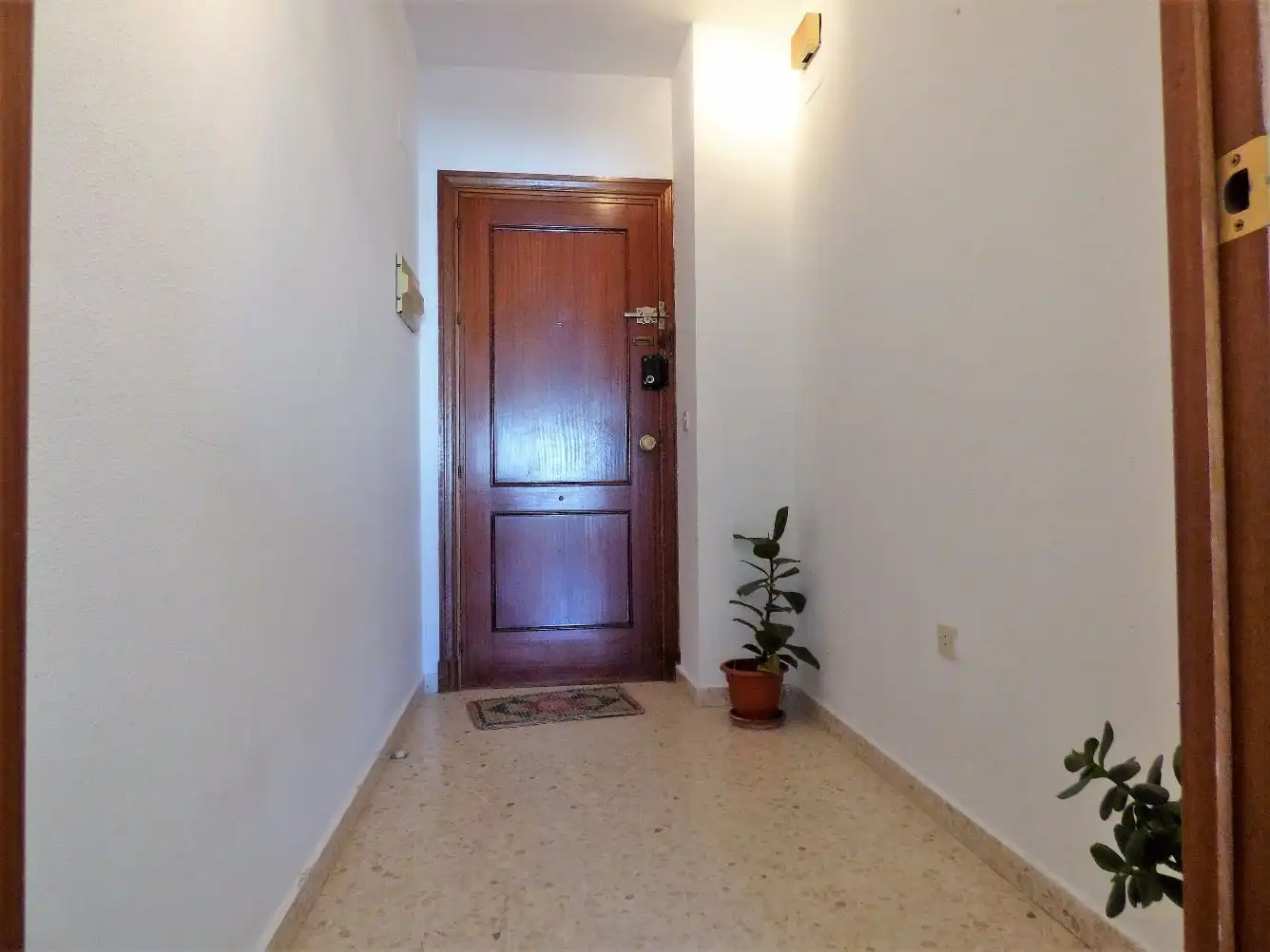 Flat for rent in Calle Pintor Hernández Homedes, Camposoto - Gallineras