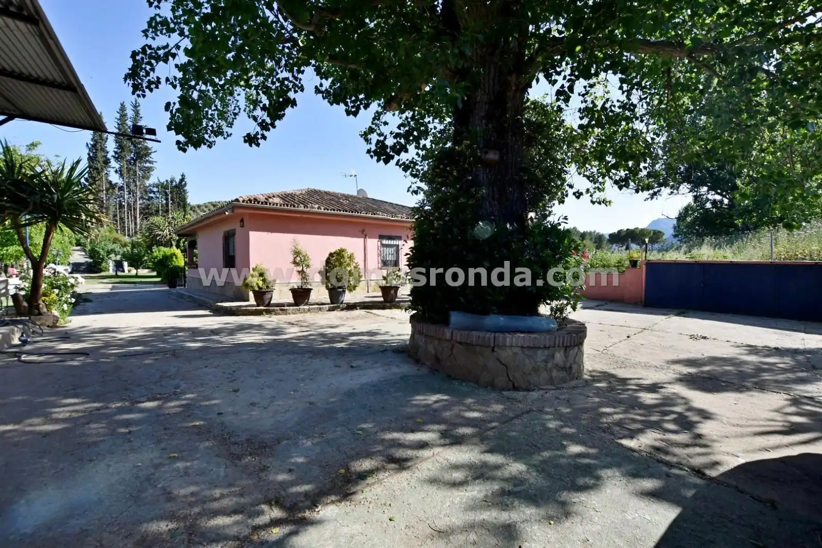Vista exterior de Finca rústica en venda en Ronda amb Aire condicionat, Jardí privat i Terrassa