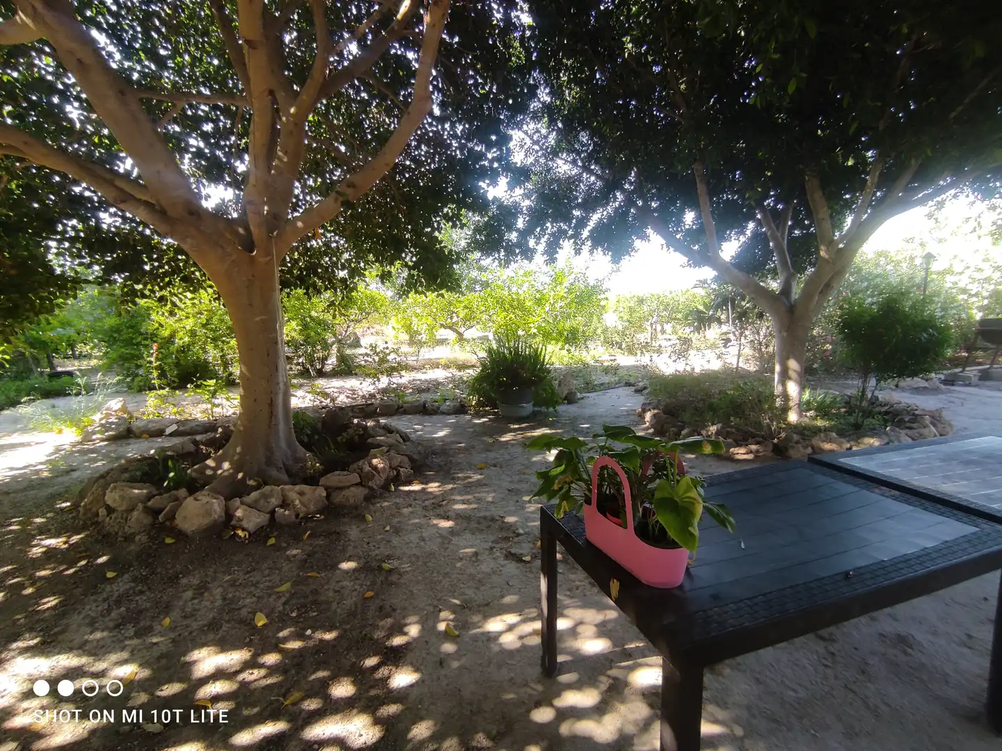 Detached house with pool for sale in La Foia - Daimés - Asprella, imagen 39