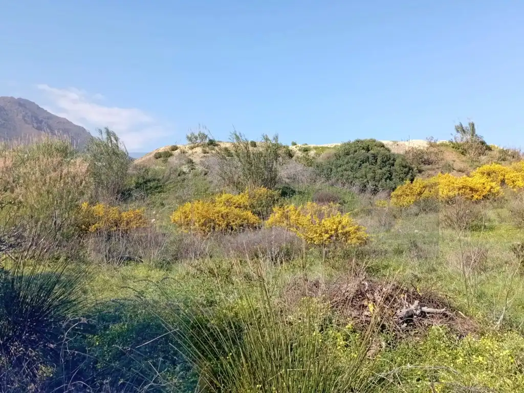 Country homes for sale in Estepona  with Private garden and Terrace