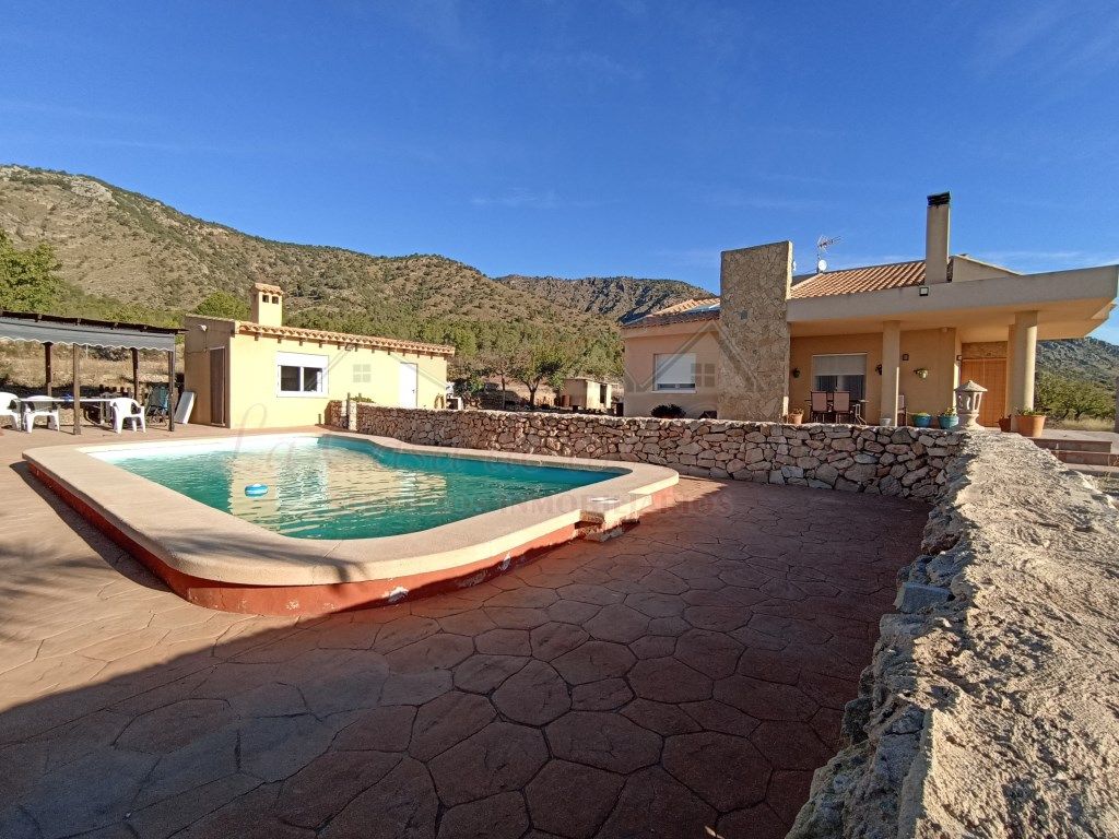 Swimming pool of House or chalet for sale in Salinas