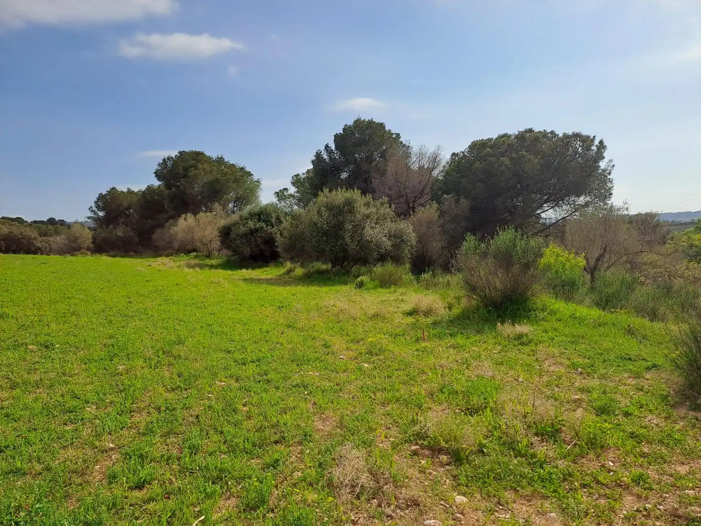 Land for sale in Terrassa
