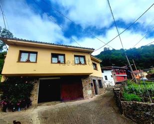 Exterior view of House or chalet for sale in Mieres (Asturias)