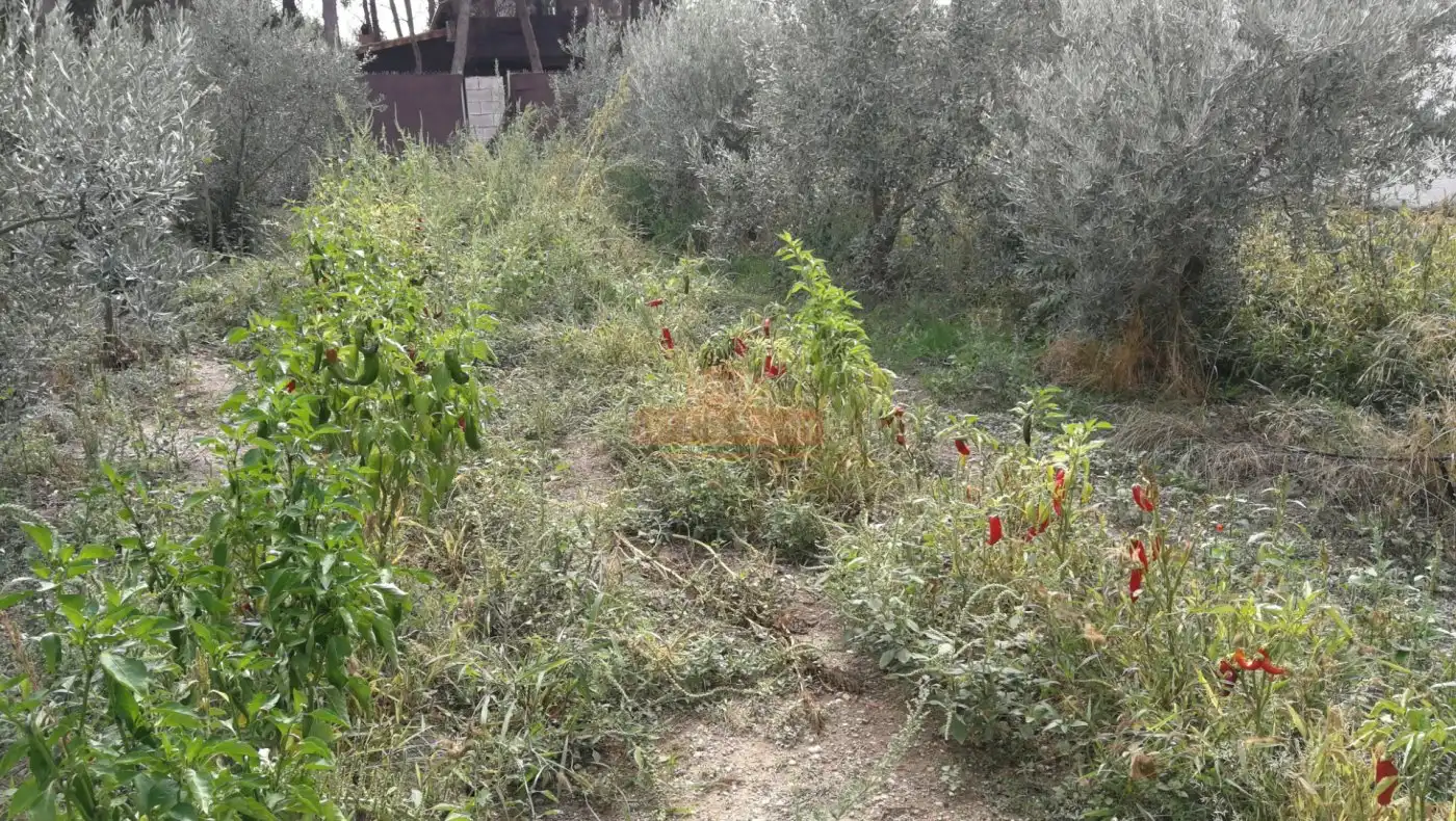 Haus oder Chalet zum Verkauf in Albacete mit Abstellraum und Balkon