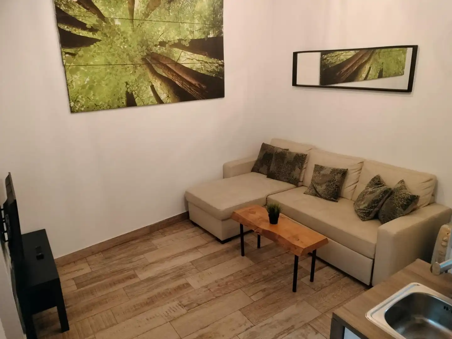 Living room of Apartments for rent in Cádiz