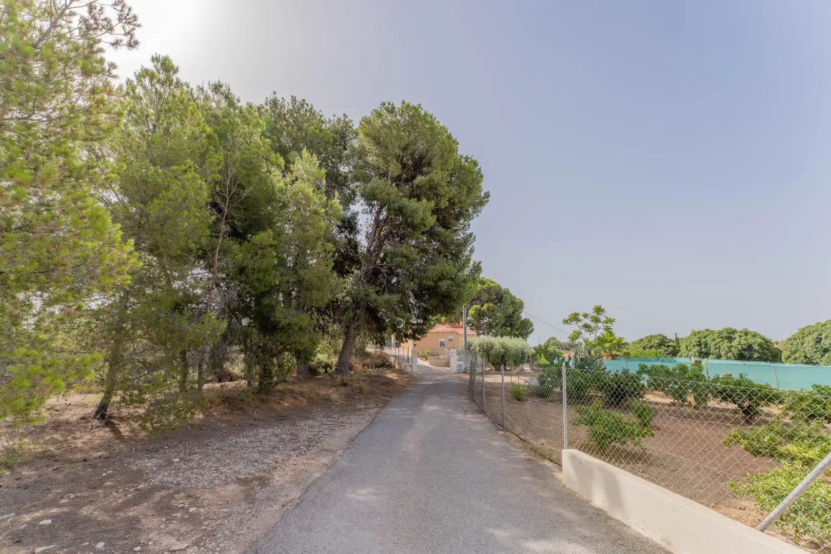 Casa o chalet en venta en Elche / Elx con Aire acondicionado, Jardín privado y Piscina