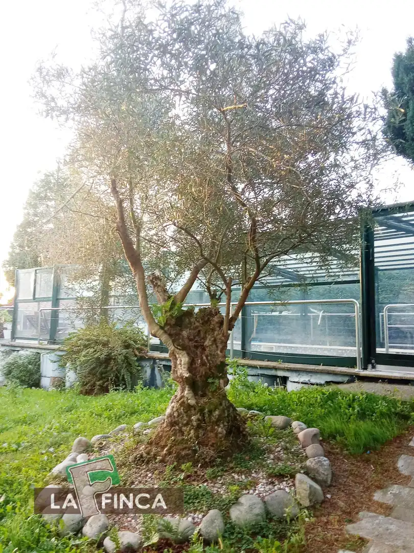 Garden of Houses for sale in Muros de Nalón  with Heating, Parquet flooring and Terrace