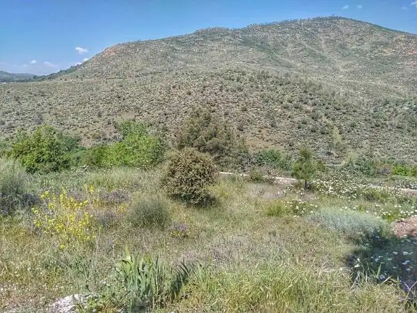 Terreny residencial en venda a Robledo de Chavela, imagen 4