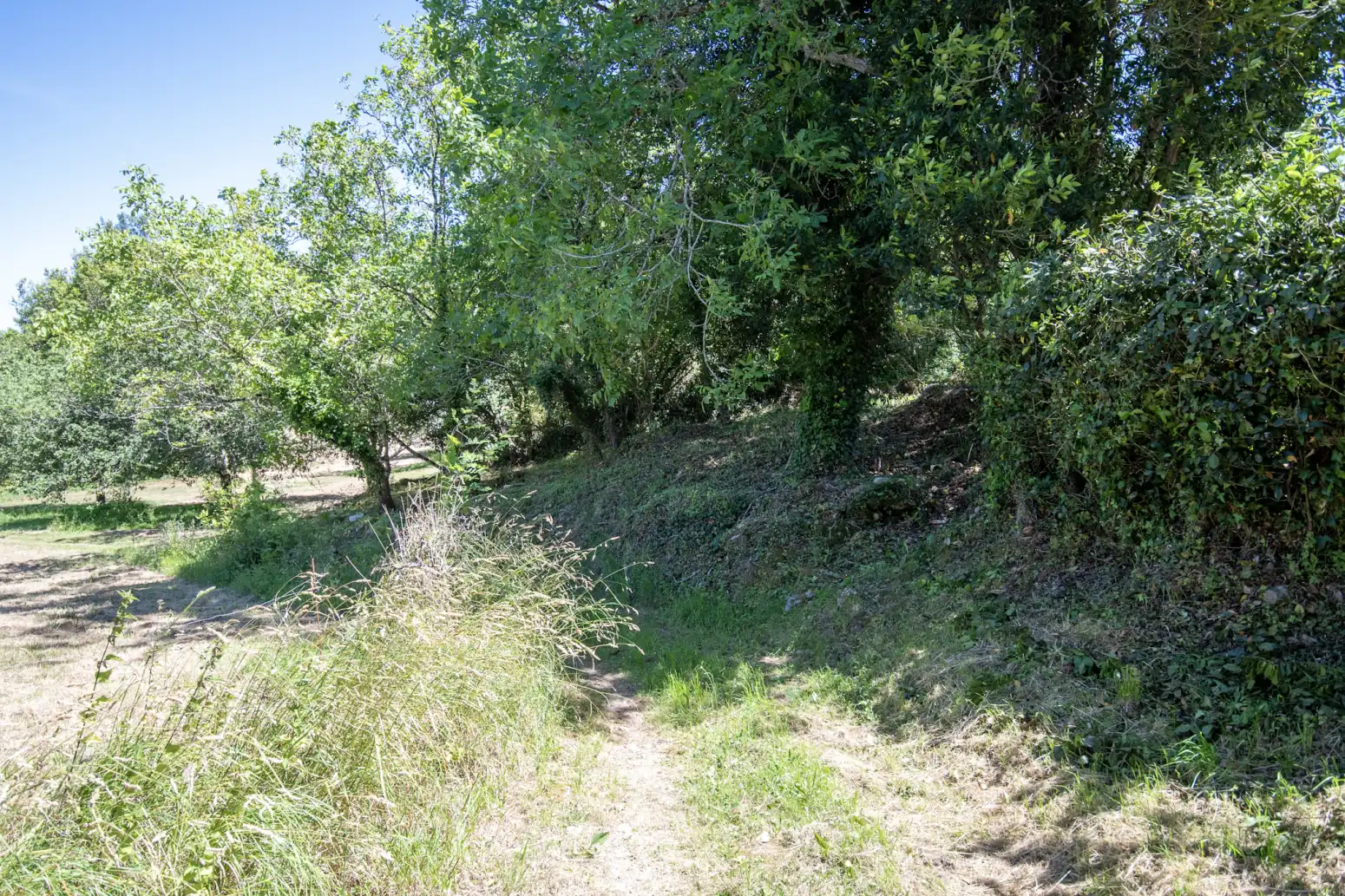 Terreno en venta en Villaviciosa