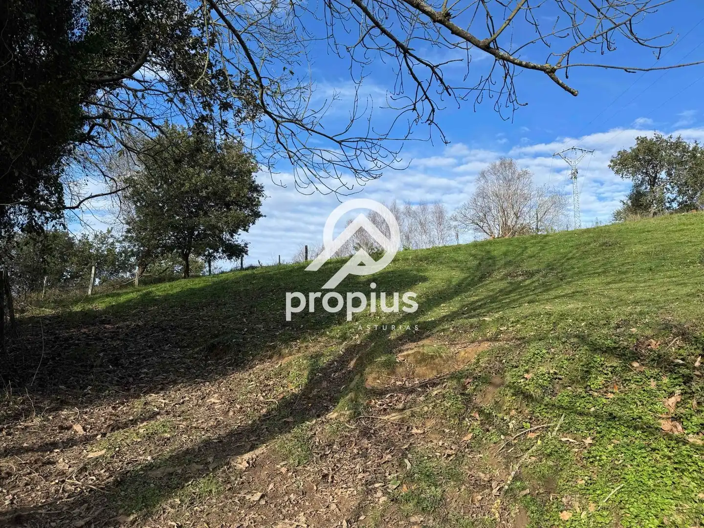 Land for sale in Llanes