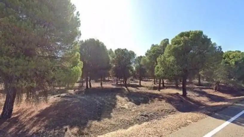Terreno residencial en venta en Sector Sued-10 Paraje la China Finca A-1, imagen 2