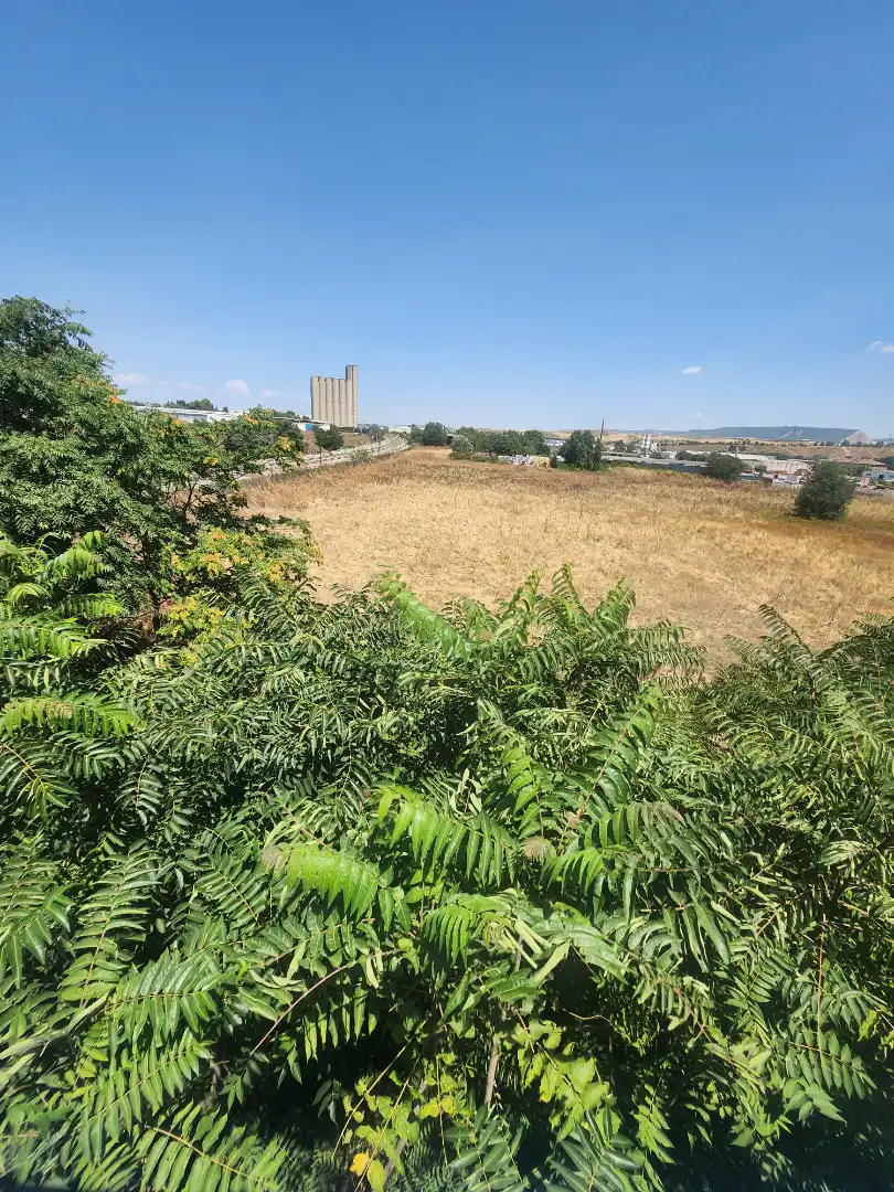 Terreno residenziale in vendita a Marchamalo, imagen 36