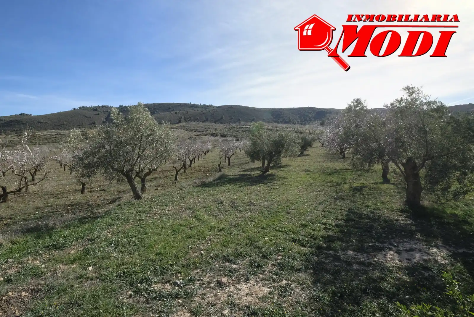 Terreni e lotti in vendita a El Valle, imagen 15