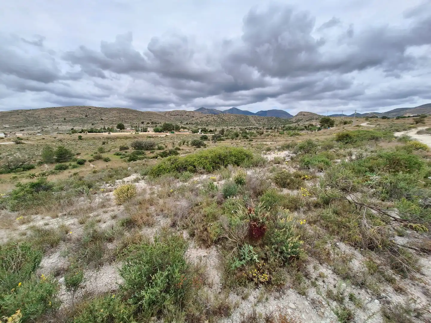 Terreny en venda en Alicante / Alacant