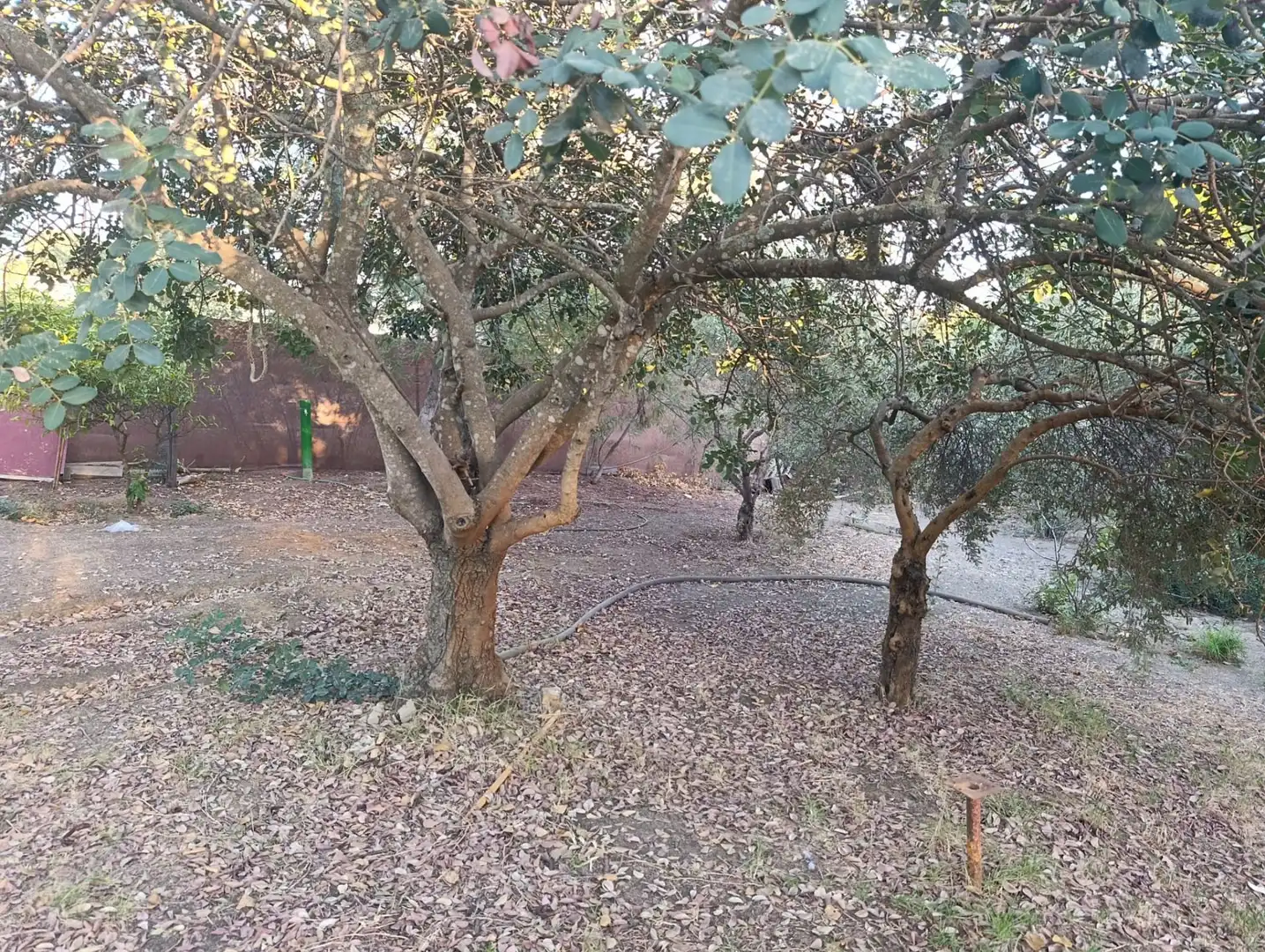 Casa amb piscina en venda a Castilblanco de los Arroyos, imagen 48