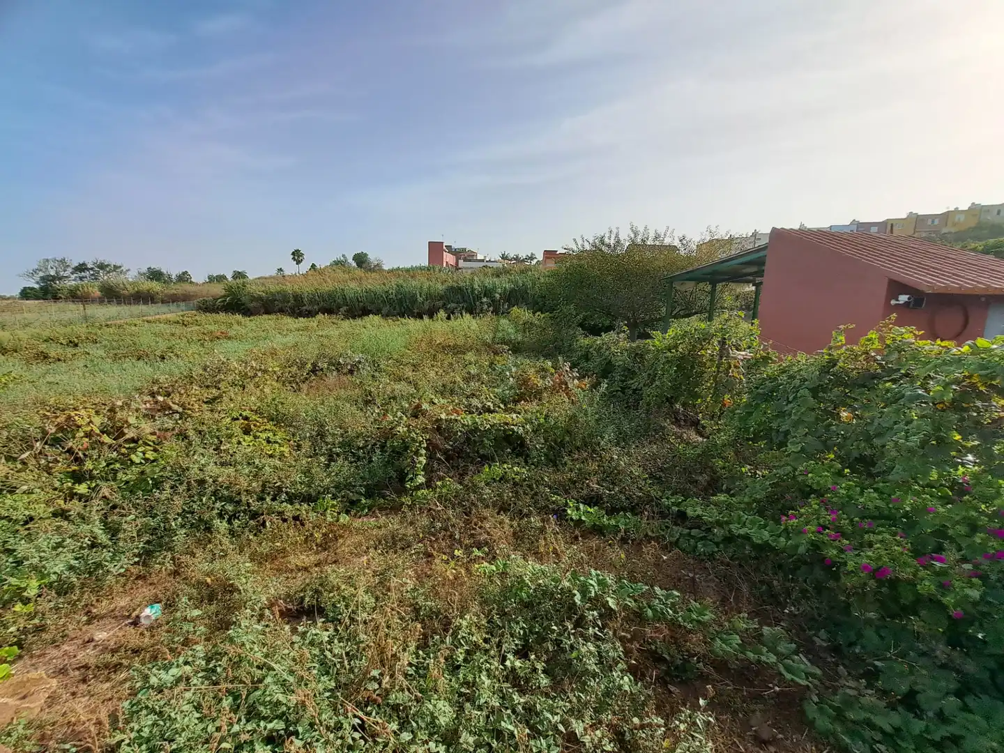 Rural land for sale in Tacoronte - Los Naranjeros, imagen 10