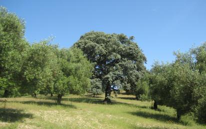 Jardí de Finca rústica en venda en Prado del Rey