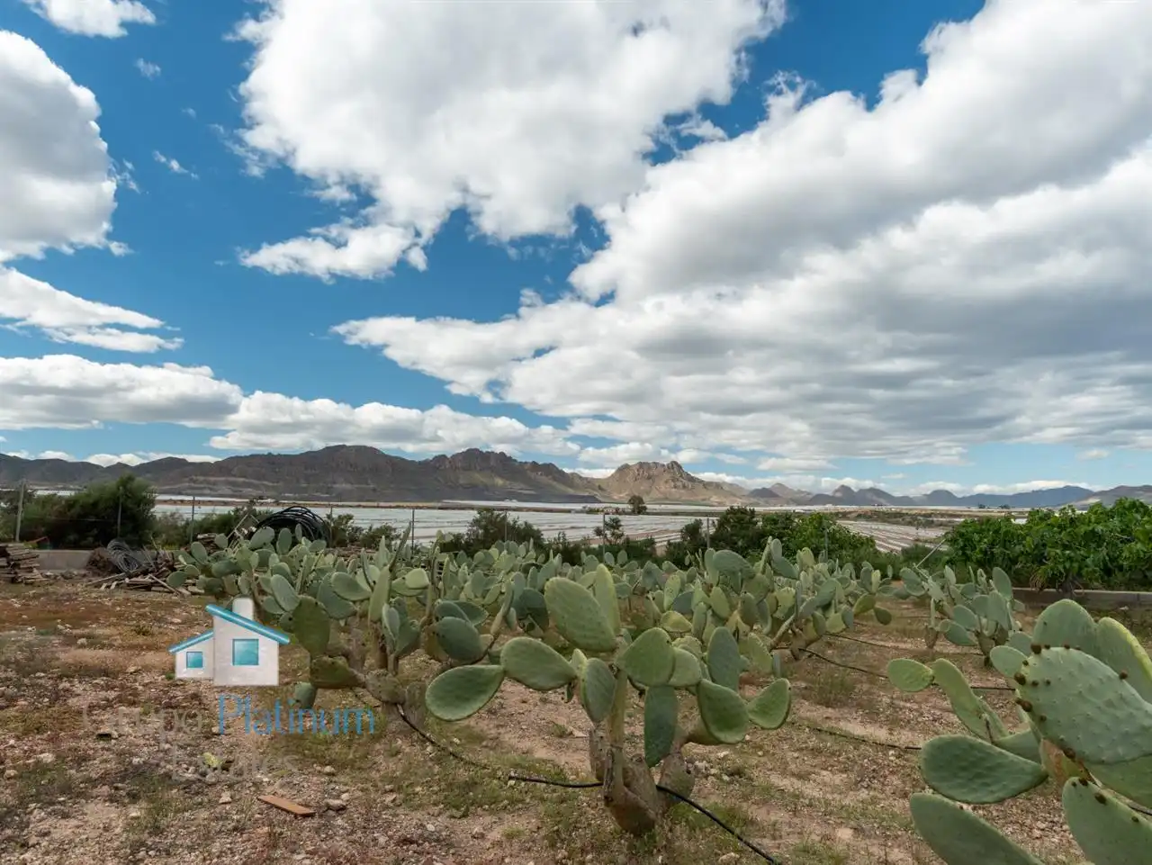 Finca rústica en venta en Águilas con Trastero y Amueblado