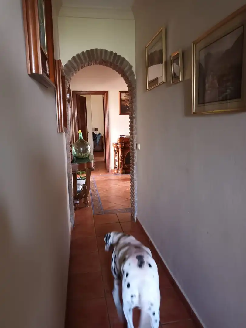 Casa a schiera in vendita a Benamara - Atalaya, imagen 33