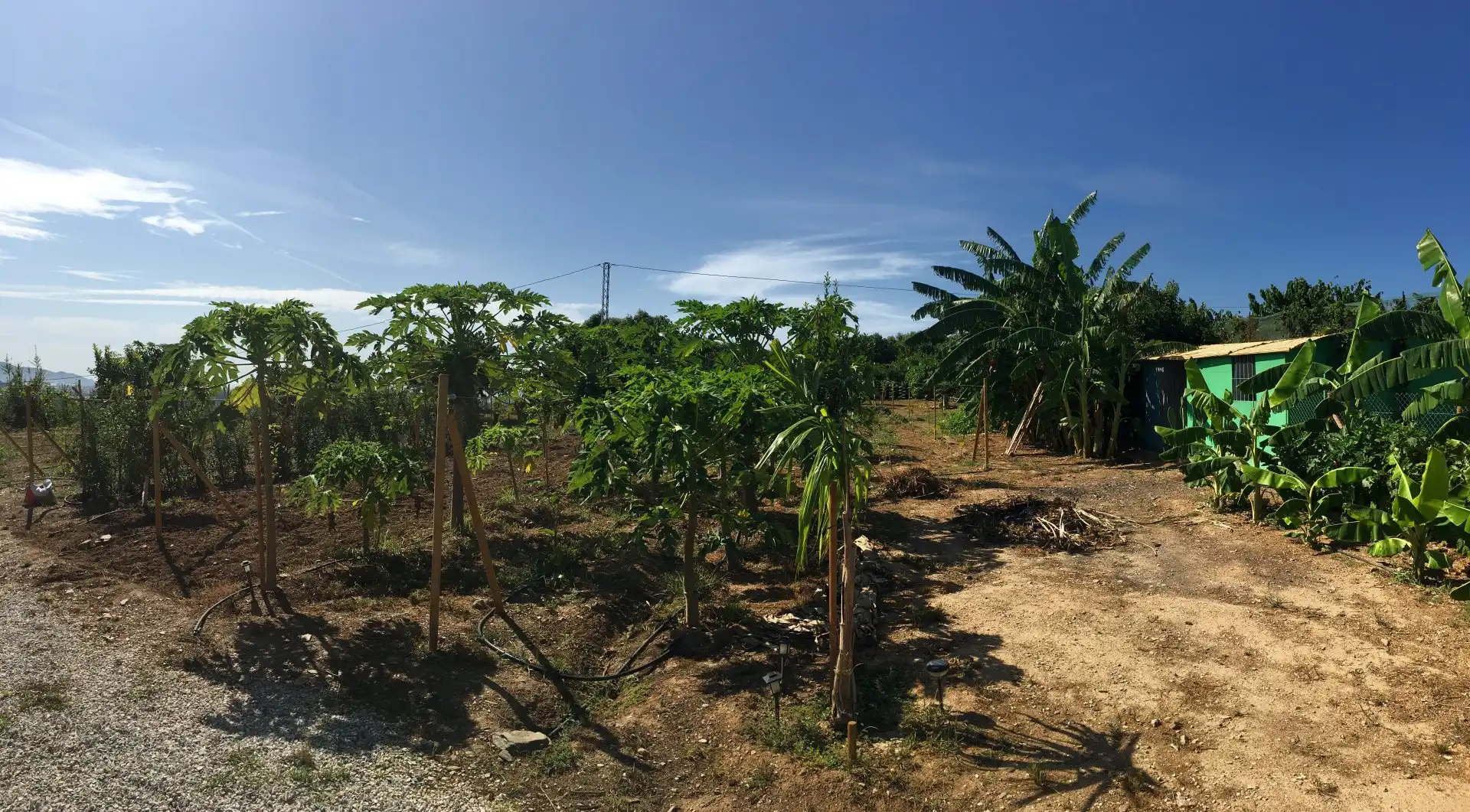 Casa rústica en venda a Monte los Almendros - El Pargo - Costa Aguilera, imagen 44