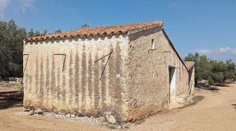 Terreno rústico de secano con caseta, de 75.916m en Partida Termets de Ulldecona Tarragona.