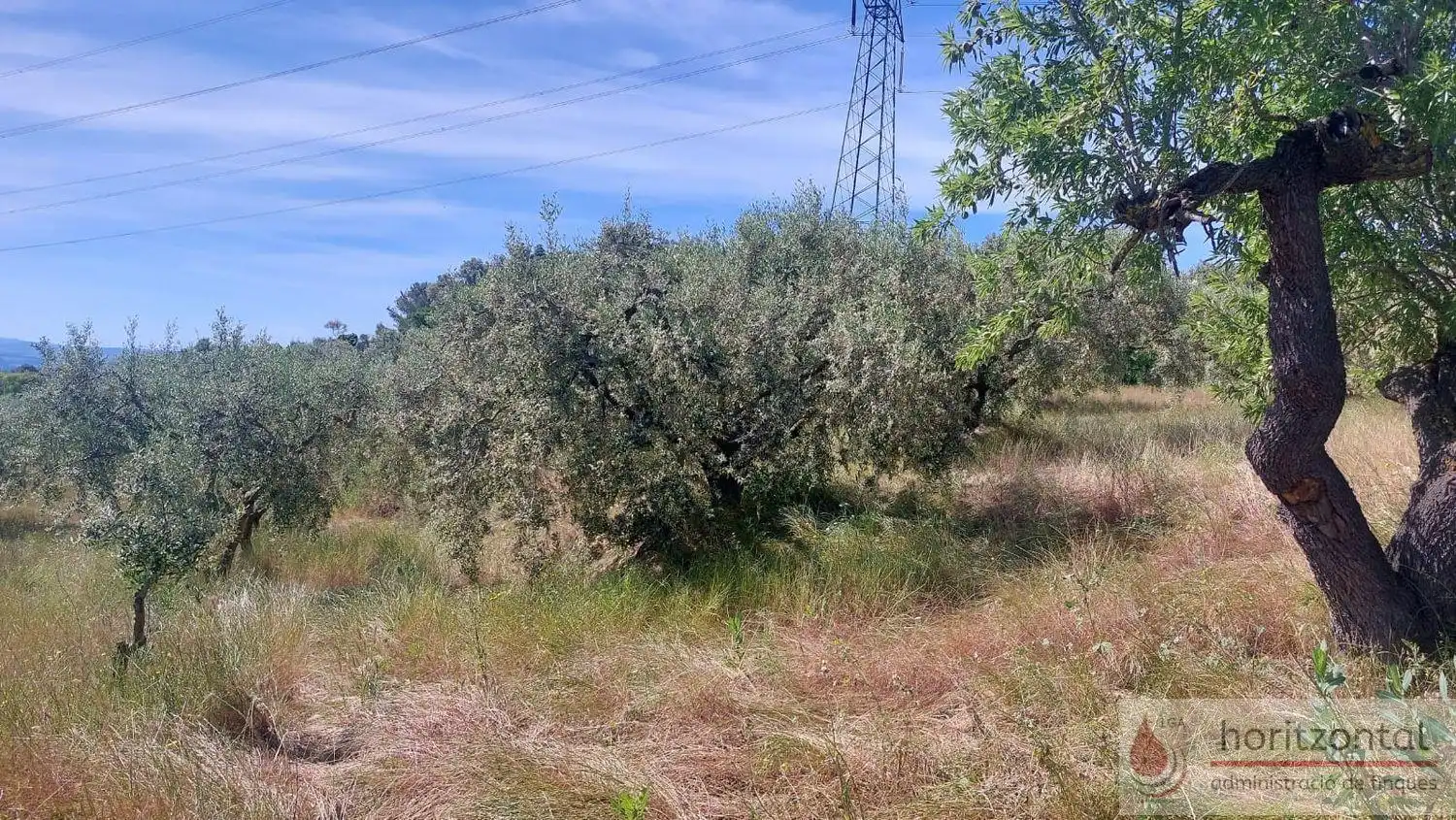 Terrenys i solars en venda a Sant Quintí de Mediona, imagen 7