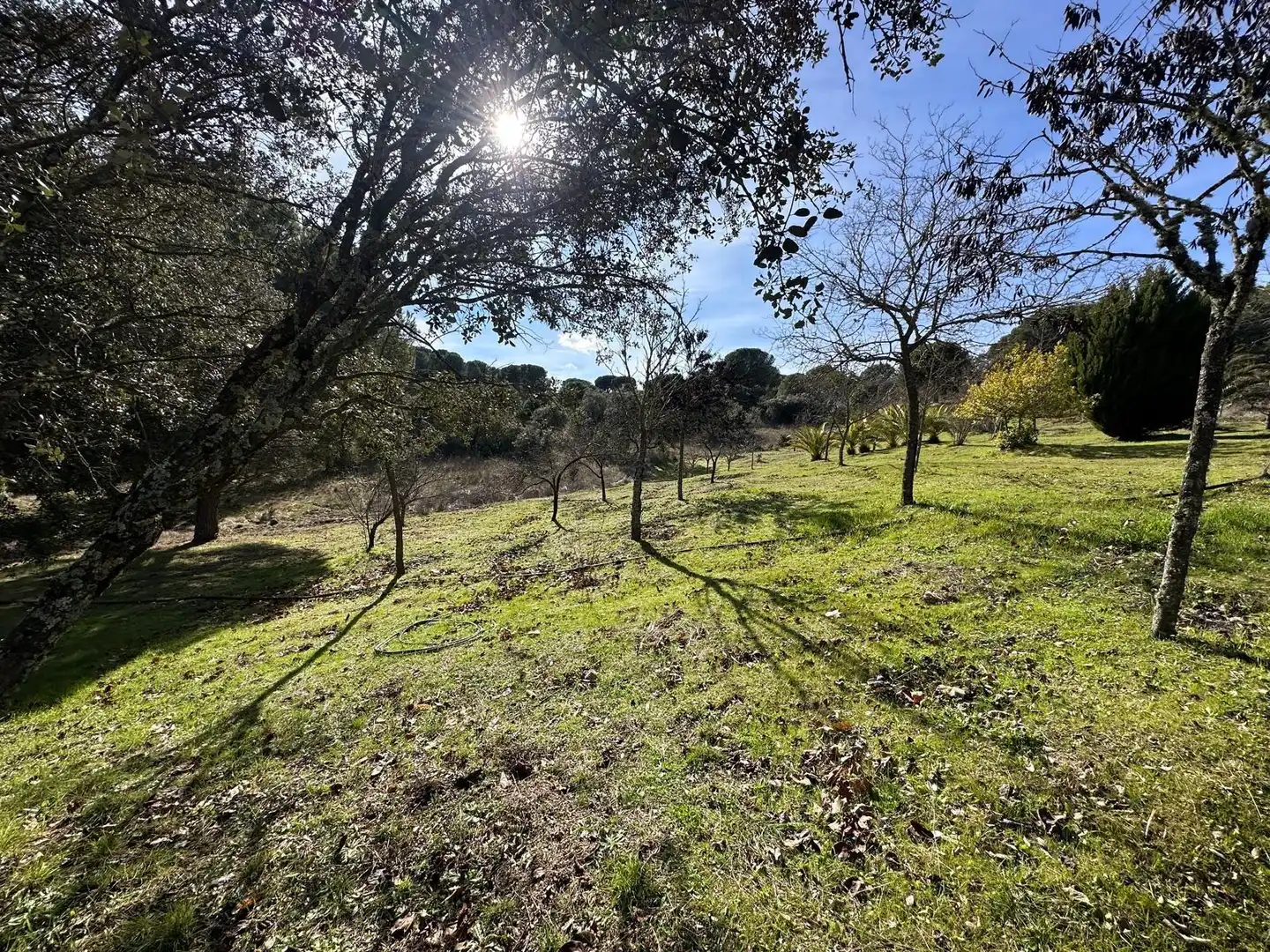 Casa o chalet en venta en Villaviciosa de Córdoba con Calefacción, Jardín privado y Terraza