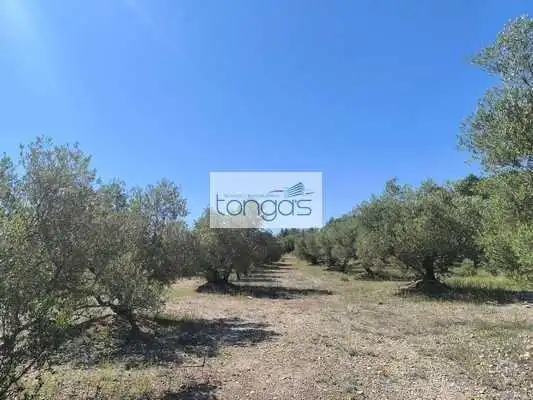 Casa o xalet en venda en Chella amb Jardí privat