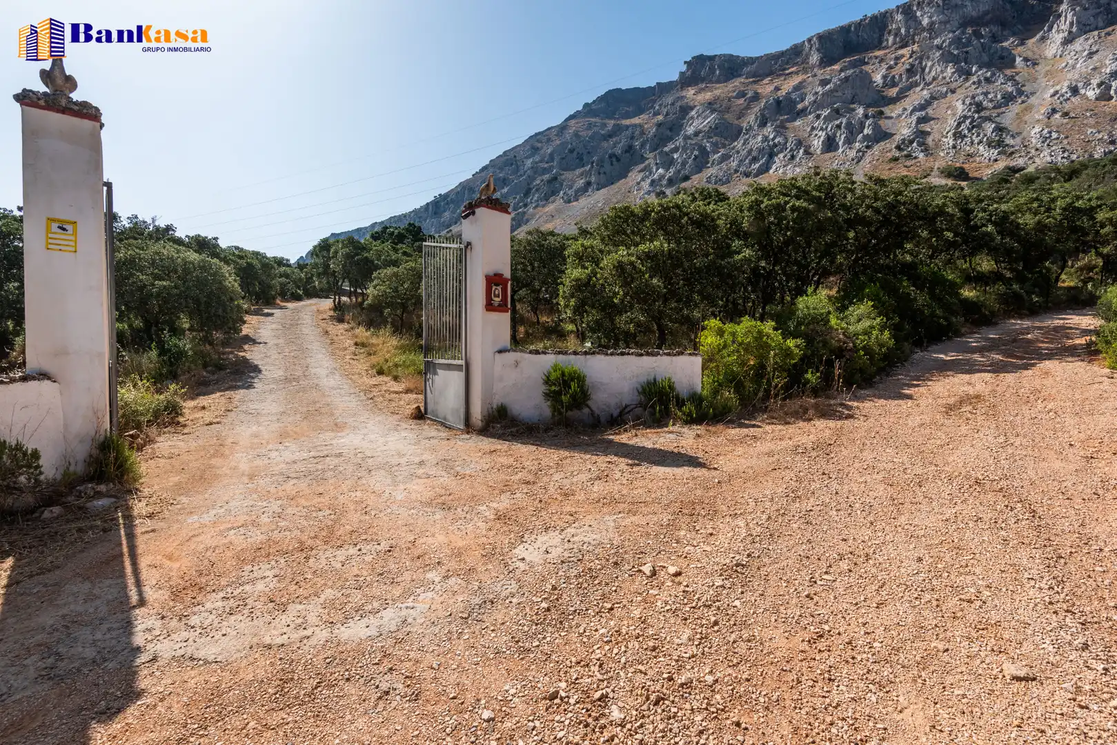 Vista exterior de Finca rústica en venta en Antequera con Jardín privado, Piscina y Amueblado