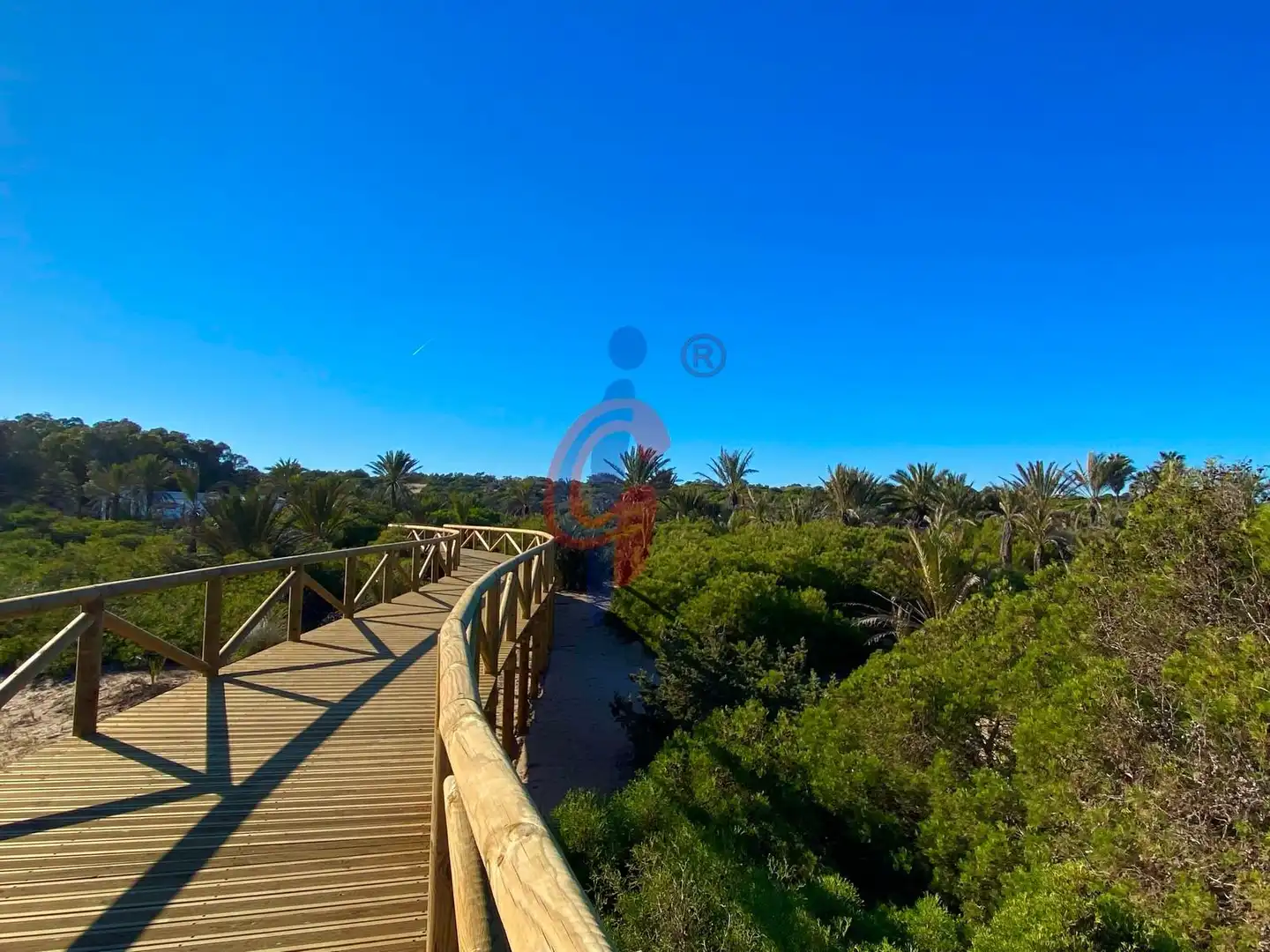 Jardí de Estudi en venda en Guardamar del Segura amb Terrassa, Moblat i Piscina comunitària