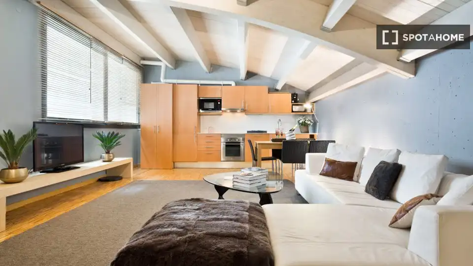 Sala d'estar de Apartament per a compartir en Barcelona amb Aire condicionat, Terrassa i Moblat