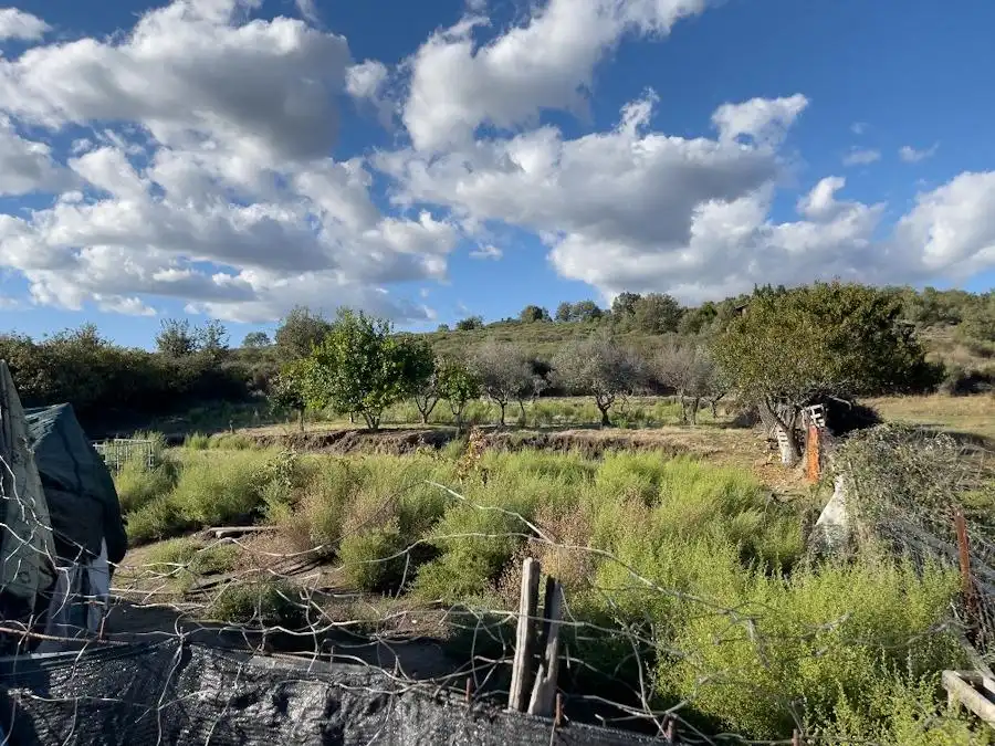 Casa rústica amb piscina en venda a Carretera Carretera de Torremenga, imagen 35