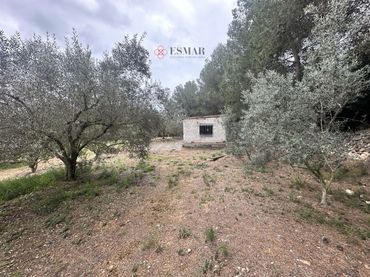Terreno residenziale in vendita a Segorbe